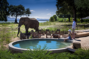 Nyamatusi Camp - Mana Pools National Park, Zimbabwe