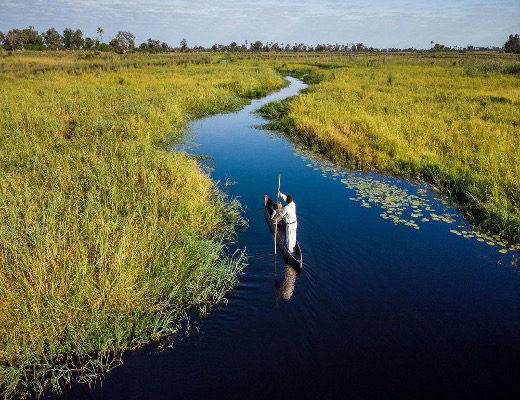 Mokoro exursion in Okavango Delta