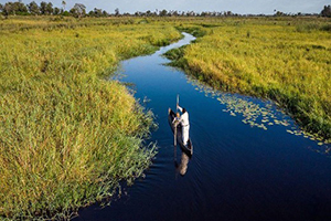 Africa Discovery Botswana 4-5 Star Safari