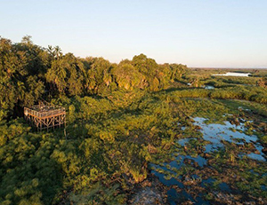 Setari Camp, 
Okavango Delta